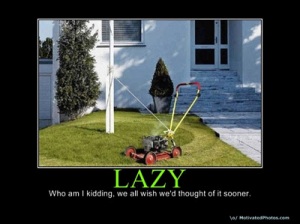 lazy2